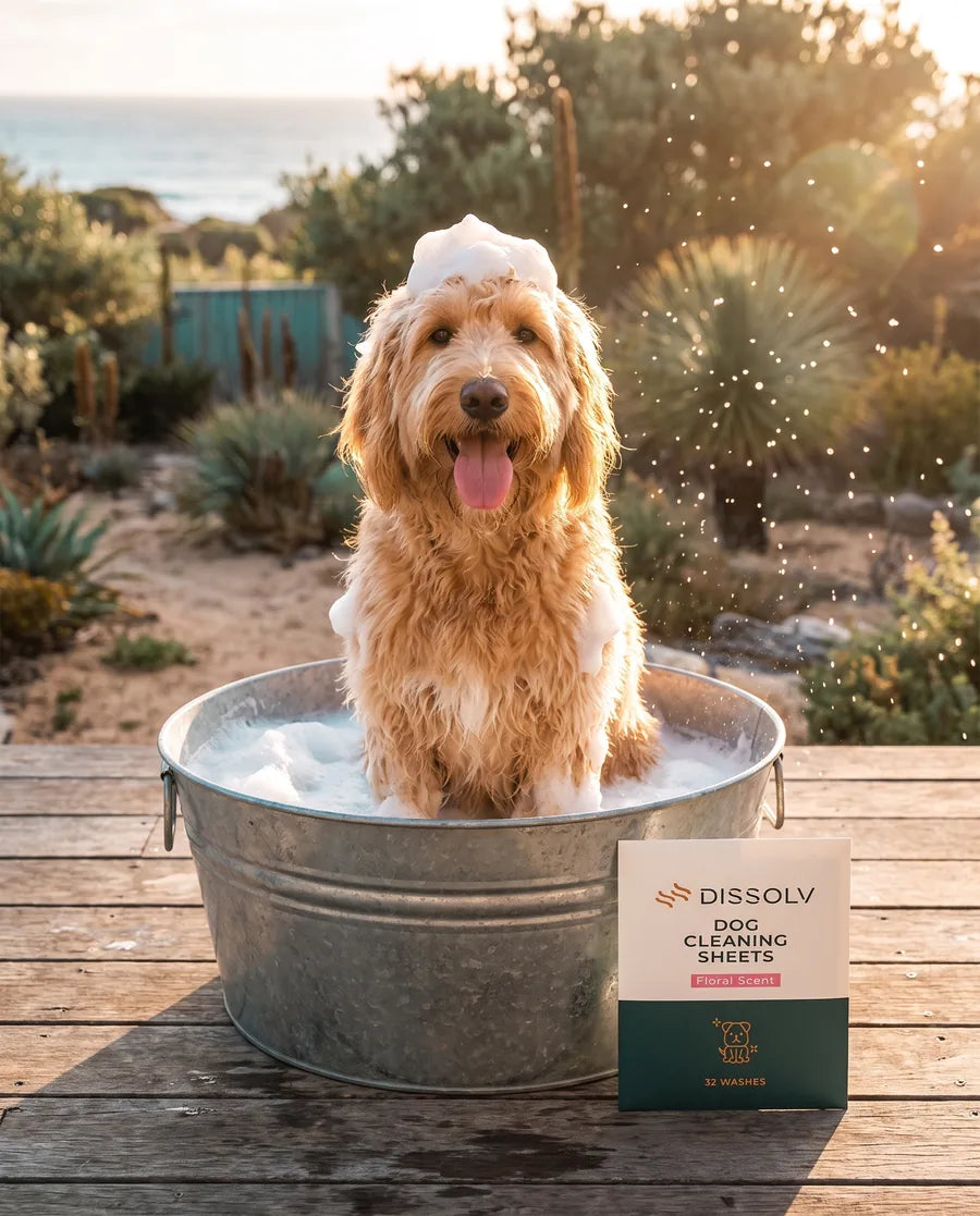 Luna mid-bath in a wash tub, the inspiration behind DSSLV dog shampoo sheets
